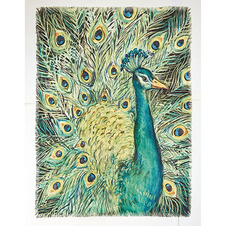 Peacock Throw