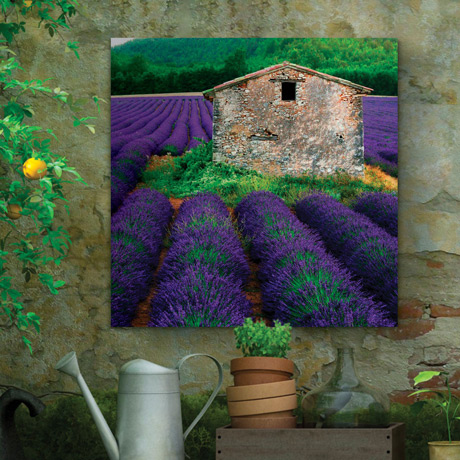 Lavender Indoor/Outdoor Wall Art