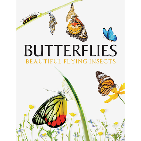 Butterflies: Beautiful Flying Insects
