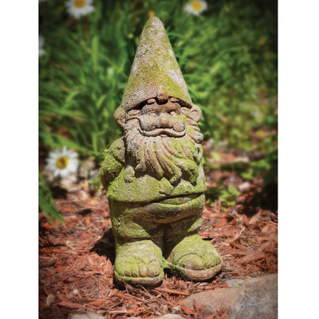 Mossy Gnome