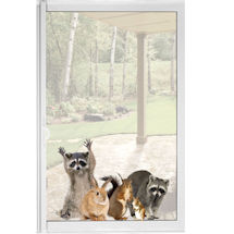 Raccoon and Friends Window Cling
