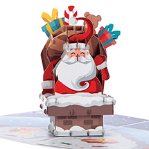 Icon for Seasonal Category