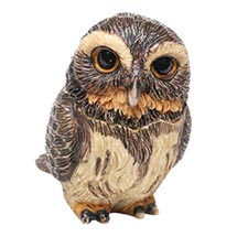 Alternate image Owl Pot Bellys&reg; Boxes - Pygmy Owl