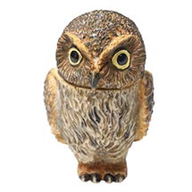 Alternate image Owl Pot Bellys&reg; Boxes - Elf Owl