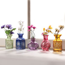 Petite Glass Vases Set - Set of 5