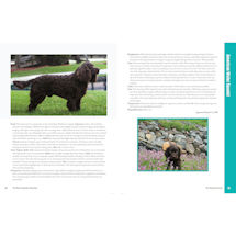 Alternate image The New Complete Dog Hardcover Book