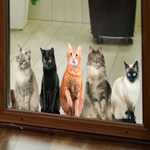 Alternate image Cat House Window/Door Clings: All Sitting