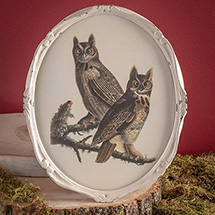 Alternate image Vintage Owls Wall Art
