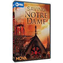 Product Image for Saving Notre Dame DVD