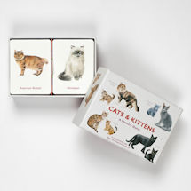 Alternate image Cats and Kittens: A Memory Game