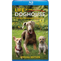 Alternate image Life in the Doghouse DVD & Blu-ray