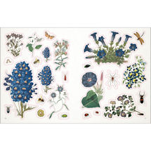 Alternate Image 3 for The Botanist's Sticker Anthology Hardcover Book