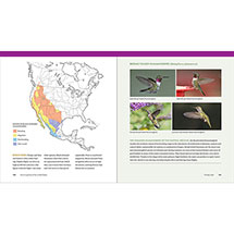 Alternate image The Hummingbird Handbook