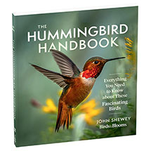 Alternate Image 5 for The Hummingbird Handbook