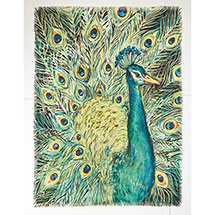 Product Image for Peacock Throw
