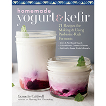 Product Image for Homemade Yogurt & Kefir Book