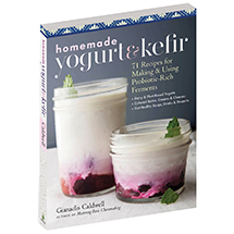 Alternate Image 1 for Homemade Yogurt & Kefir Book