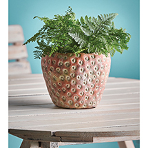 Product Image for Strawberry Planter