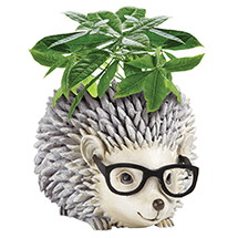 Alternate image for Hedgehog Planter