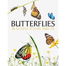 Product Image for Butterflies: Beautiful Flying Insects