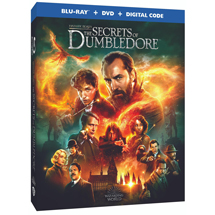 Alternate Image 2 for Fantastic Beasts: The Secrets of Dumbledore DVD or Blu-ray/DVD Combo