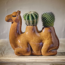 Product Image for Camel Planter