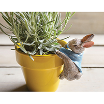 Product Image for Peter Rabbit Pot Decor