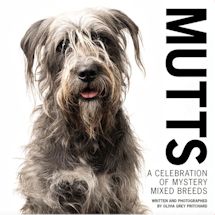 Alternate image for Mutts: A Celebration of Mixed Breeds