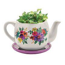 Alternate image Jumbo Teapot Planter